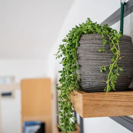 Fehaus Am Walnussbaum 펜션