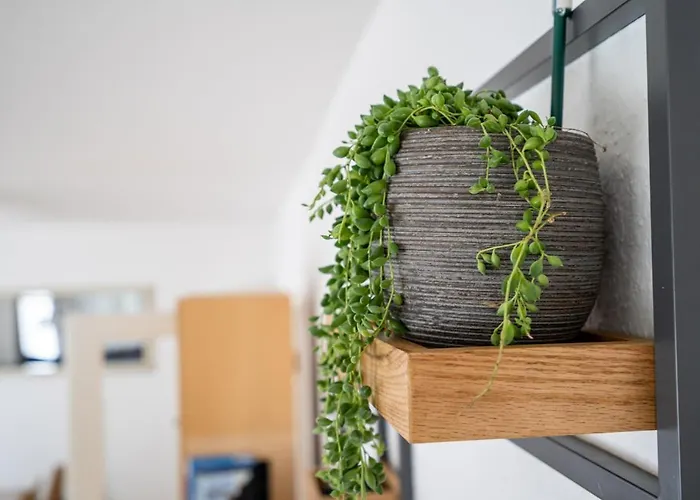 Fehaus Am Walnussbaum Feriehus